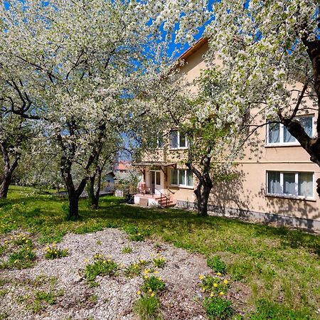Apartamento Casa Cu Cires Braşov Exterior foto