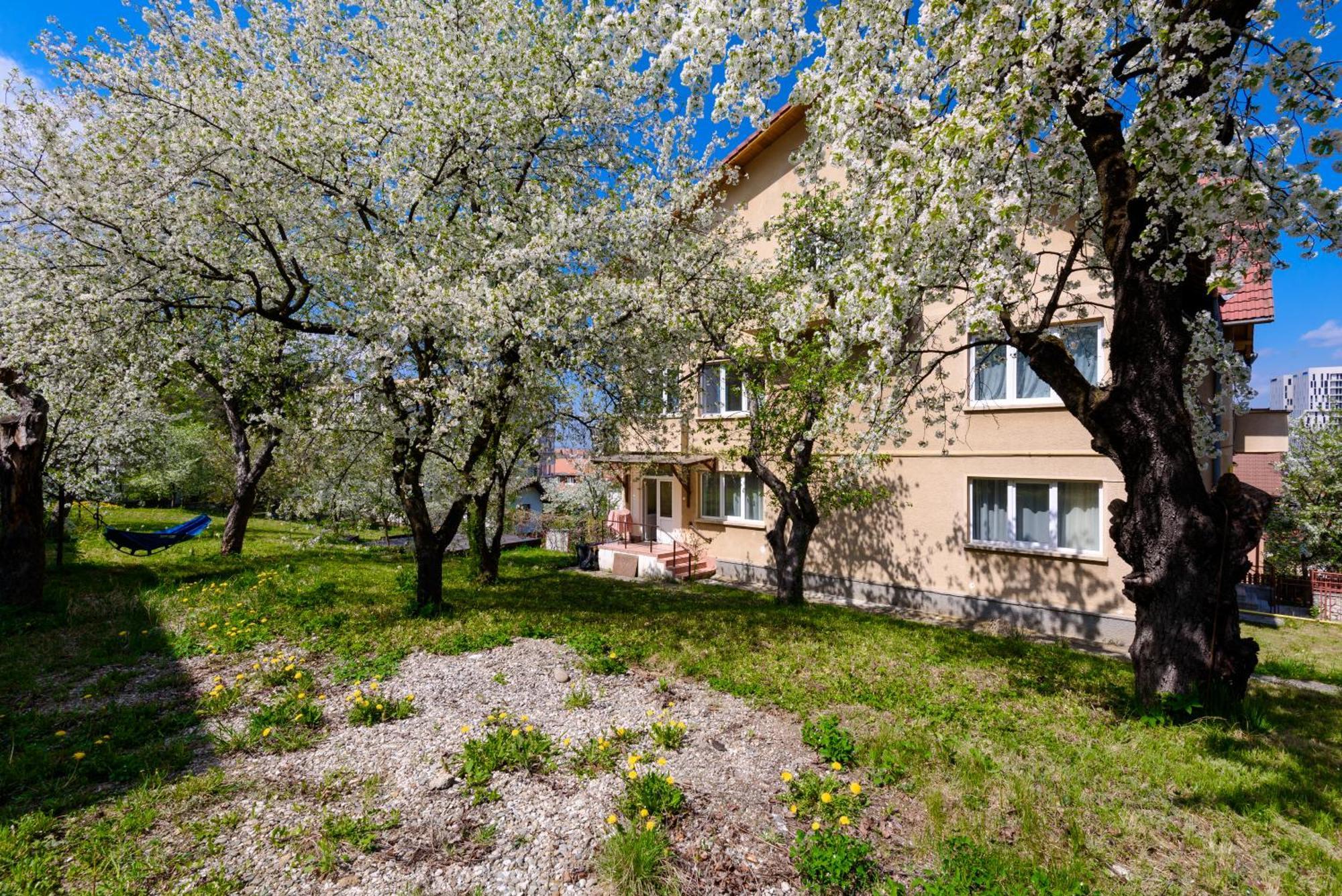 Apartamento Casa Cu Cires Braşov Exterior foto