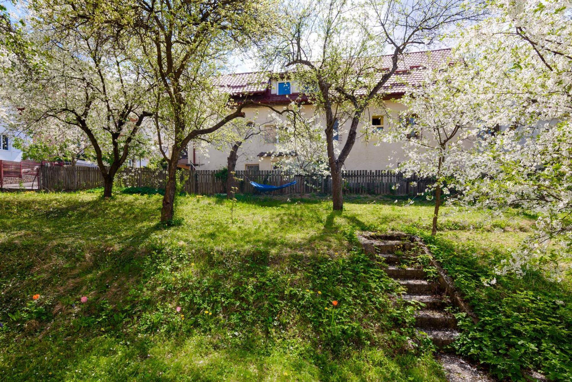 Apartamento Casa Cu Cires Braşov Exterior foto