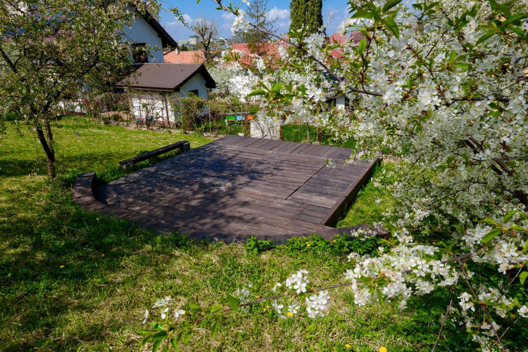 Apartamento Casa Cu Cires Braşov Exterior foto