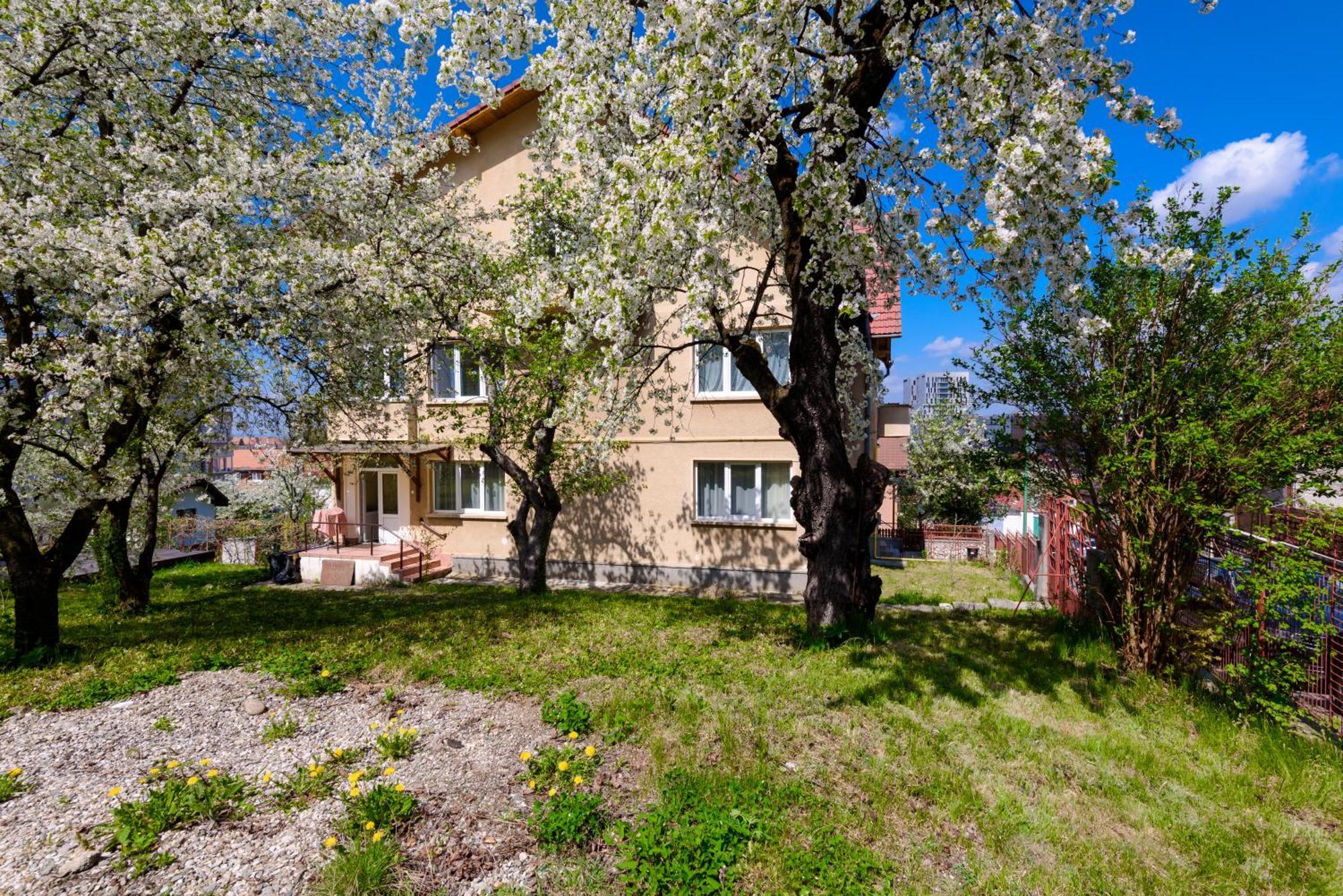 Apartamento Casa Cu Cires Braşov Exterior foto